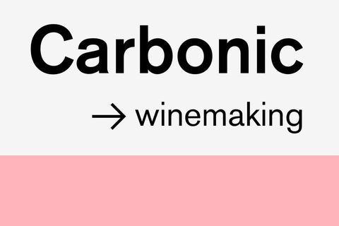 Carbonic Maceration Blog Post, What is Carbonic Maceration, Natural Wine, Primal Wine - primalwine.co.uk